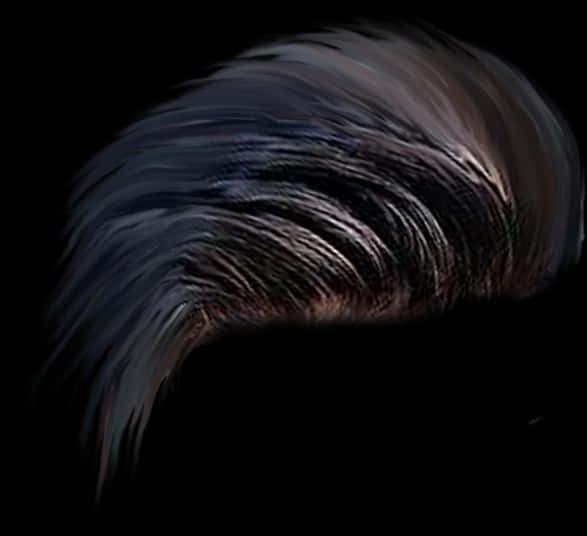 Swept Back Hair Dark Background PNG