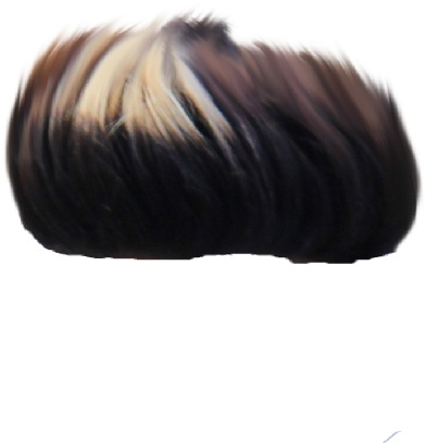 Swept Back Hair Texture PNG