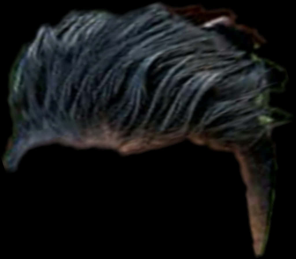 Swept_ Back_ Hairstyle_ Transparent_ Background PNG