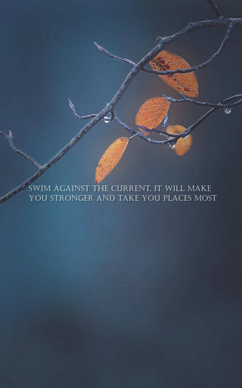Swim Against The Current Quote Phone Background
