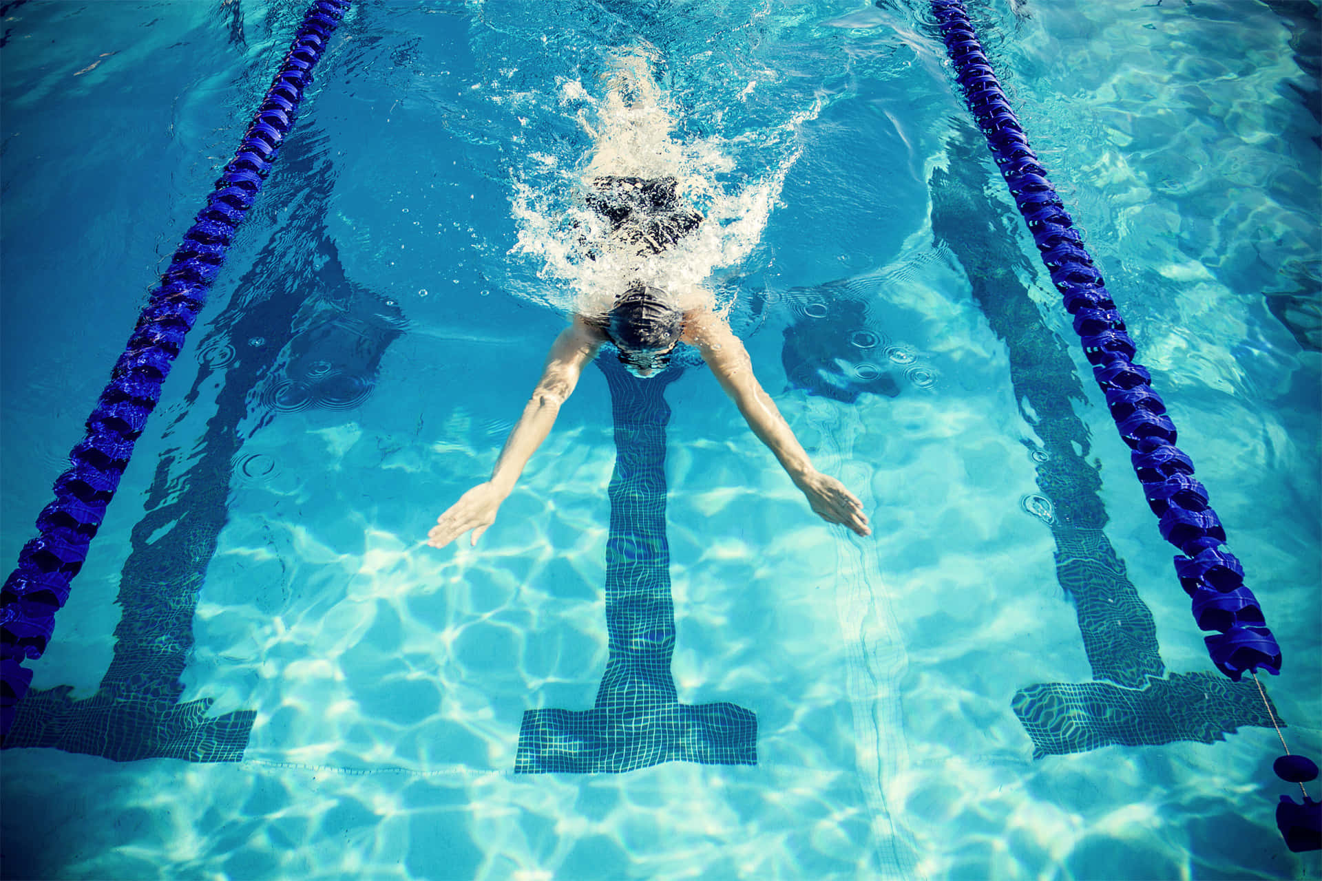 Swimmer Diving Into Pool Wallpaper