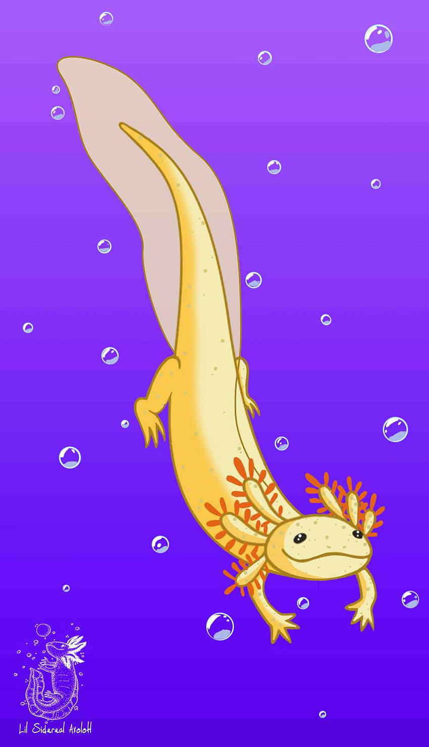 Swimming Cute Axolotl Digital Artwork Wallpaper