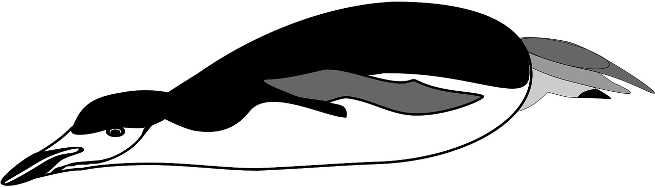 Swimming Penguin Illustration PNG