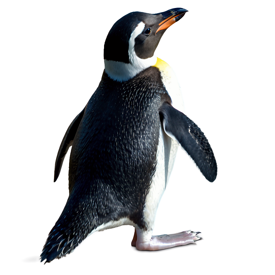 Download Swimming Penguin Png 43 | Wallpapers.com