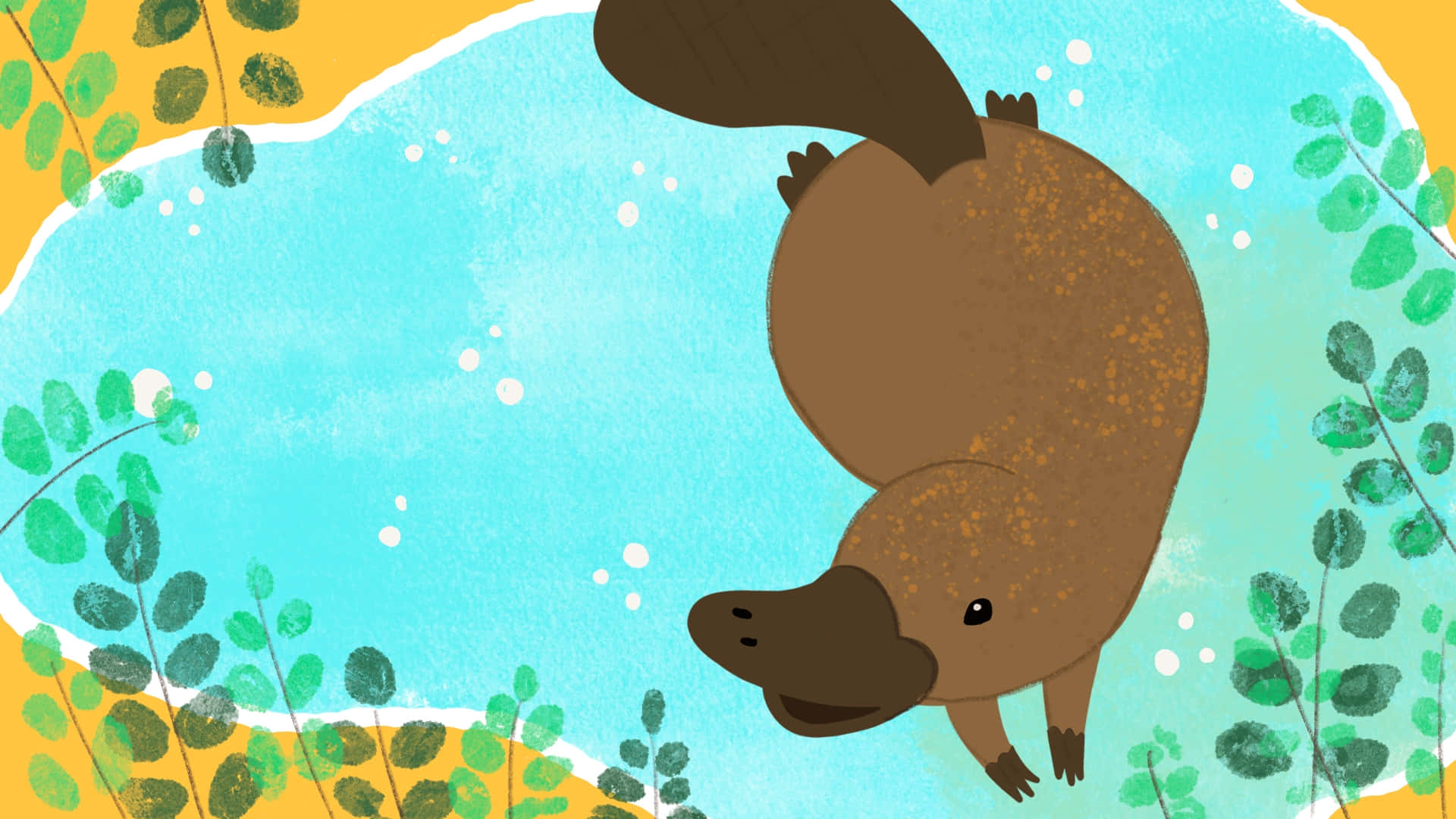 Swimming Platypus Illustration Wallpaper