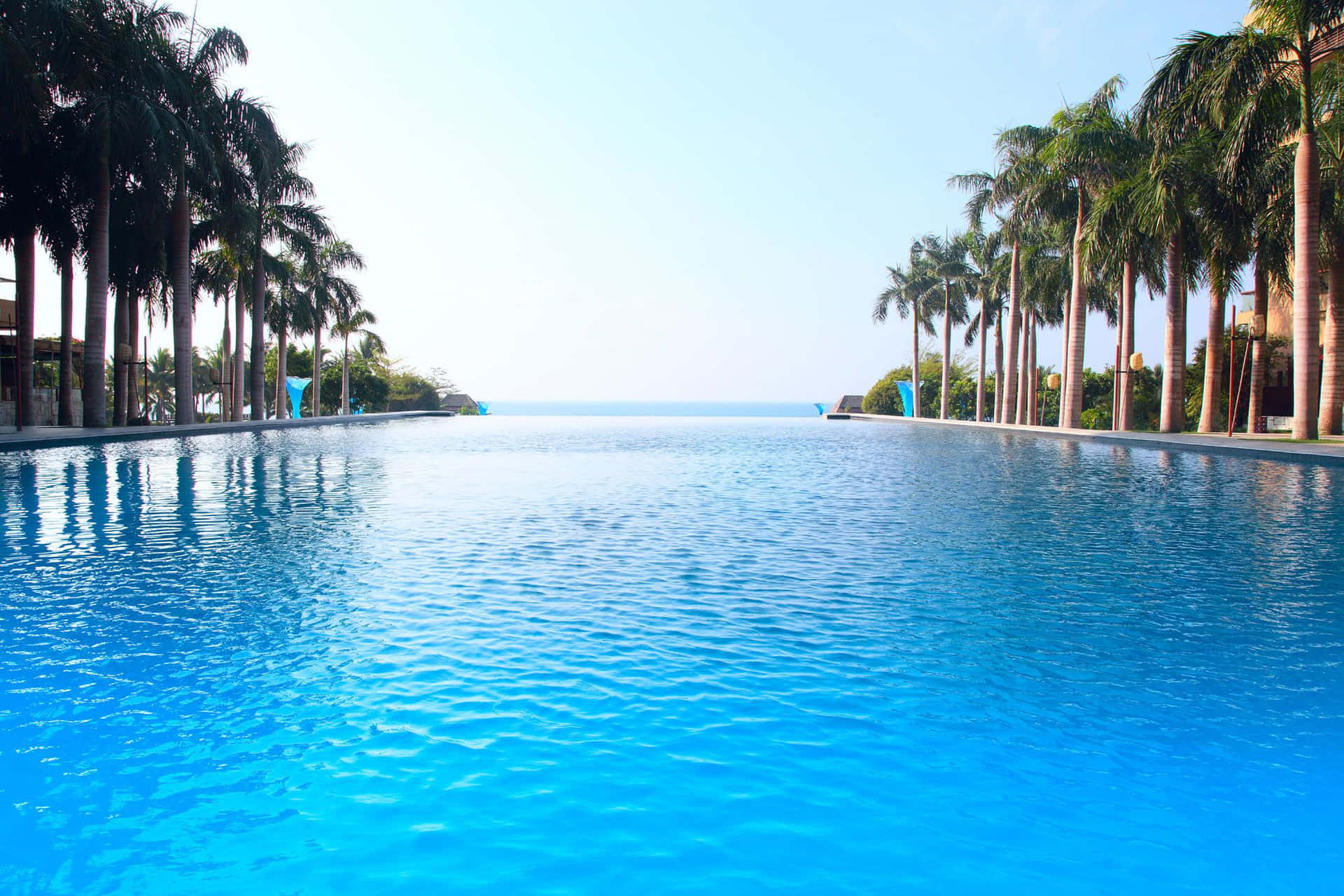 A Large Pool With Palm Trees And Ocean
