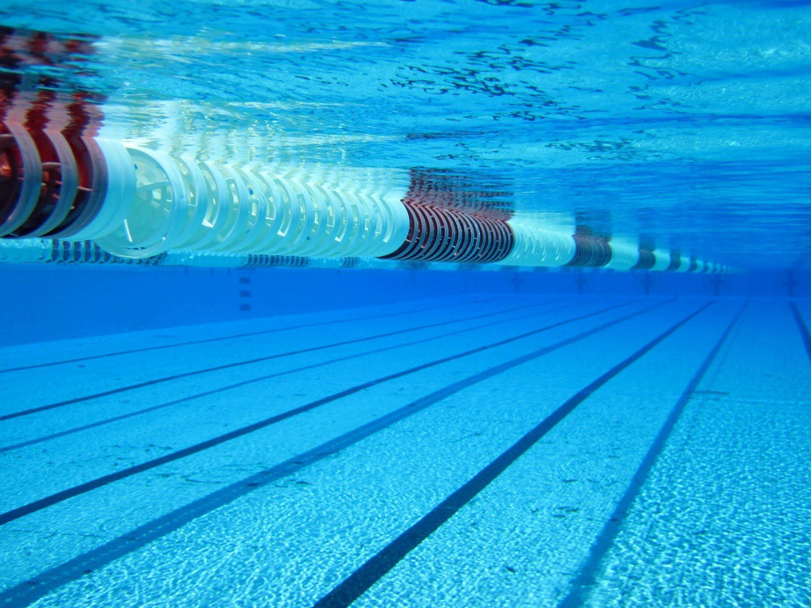 Swimming Pool Lane Rope Wallpaper