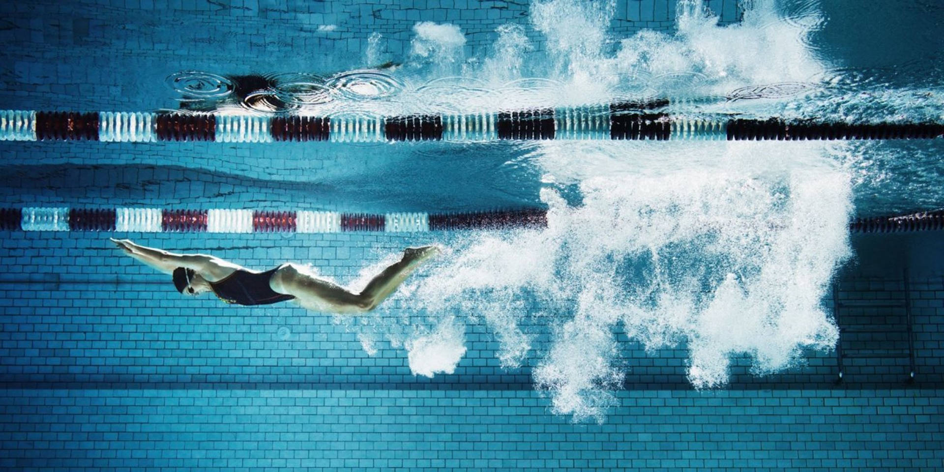 Swimming Pool Swimmer Wallpaper