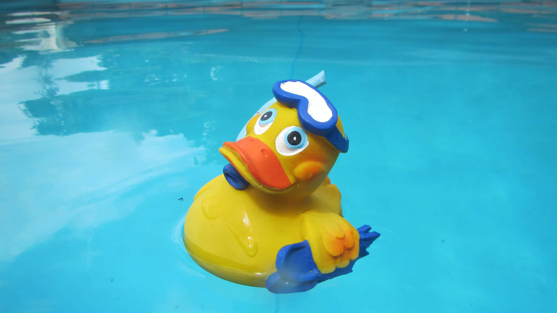 Swimming Rubber Ducky Toy.jpg Wallpaper
