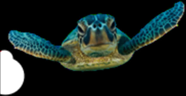 Swimming Sea Turtle Blurry Background PNG