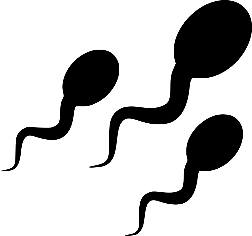 Swimming_ Sperm_ Illustration.png PNG