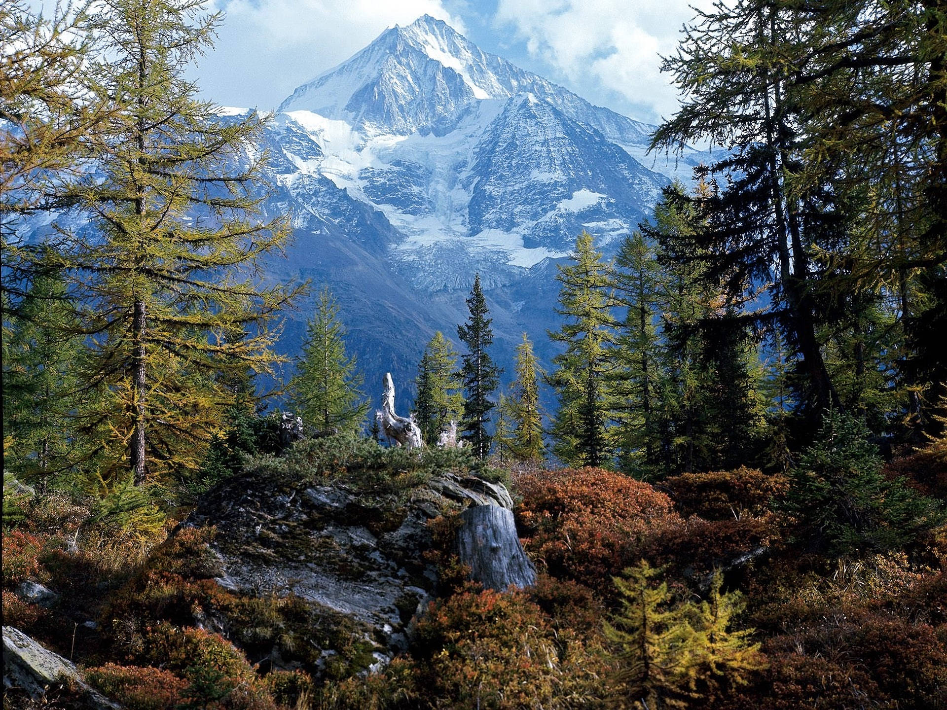 Florestados Alpes Suíços. Papel de Parede