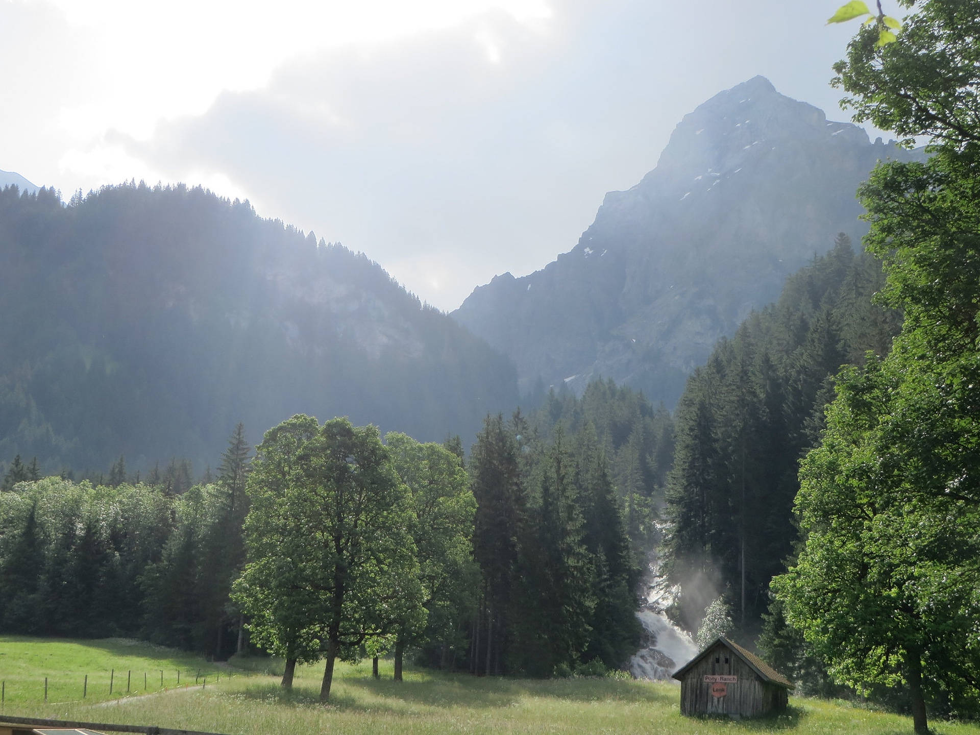 Bosqueverde De Los Alpes Suizos Fondo de pantalla