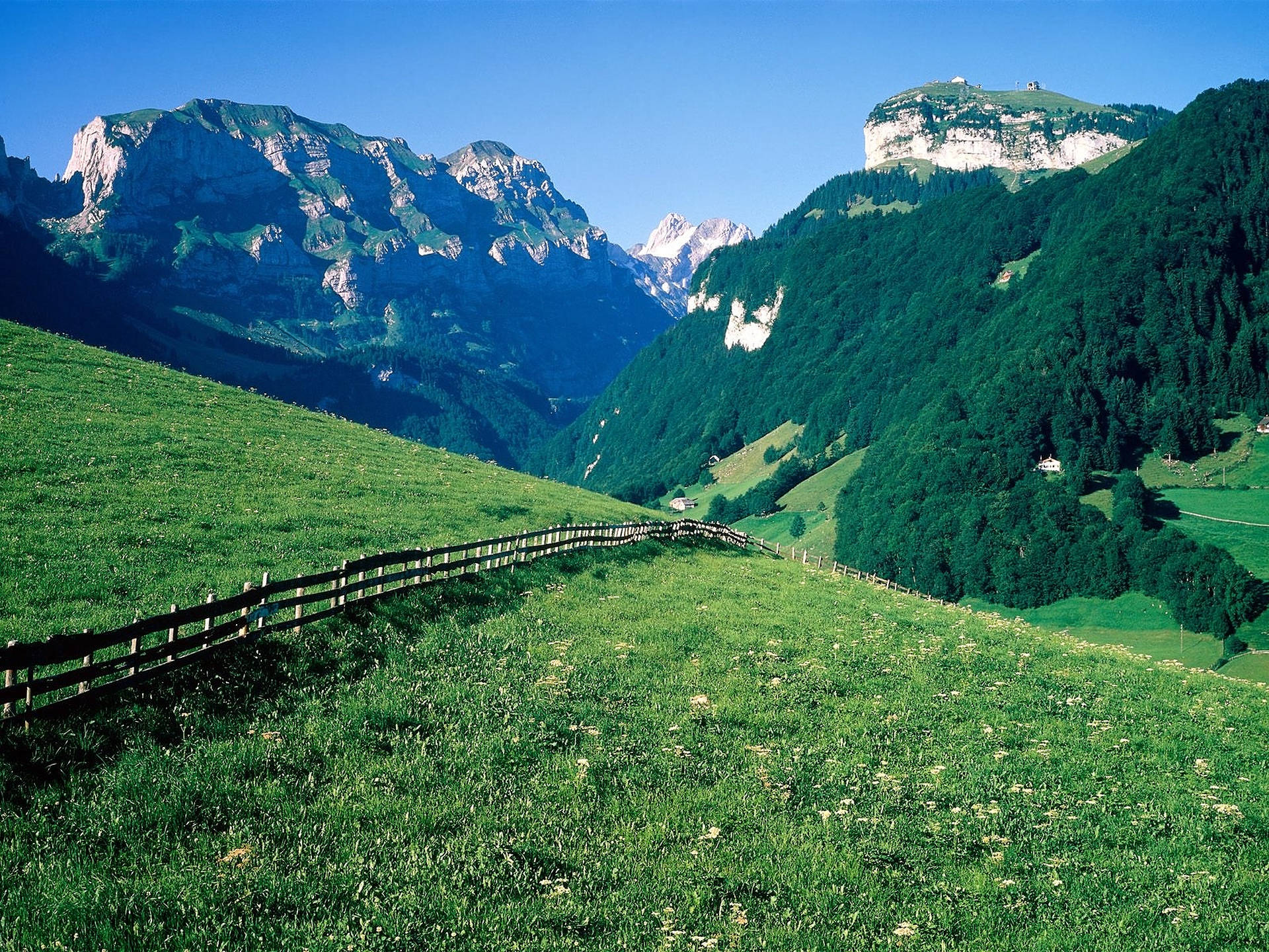 Alpi Svizzere Su Pellicola Sfondo
