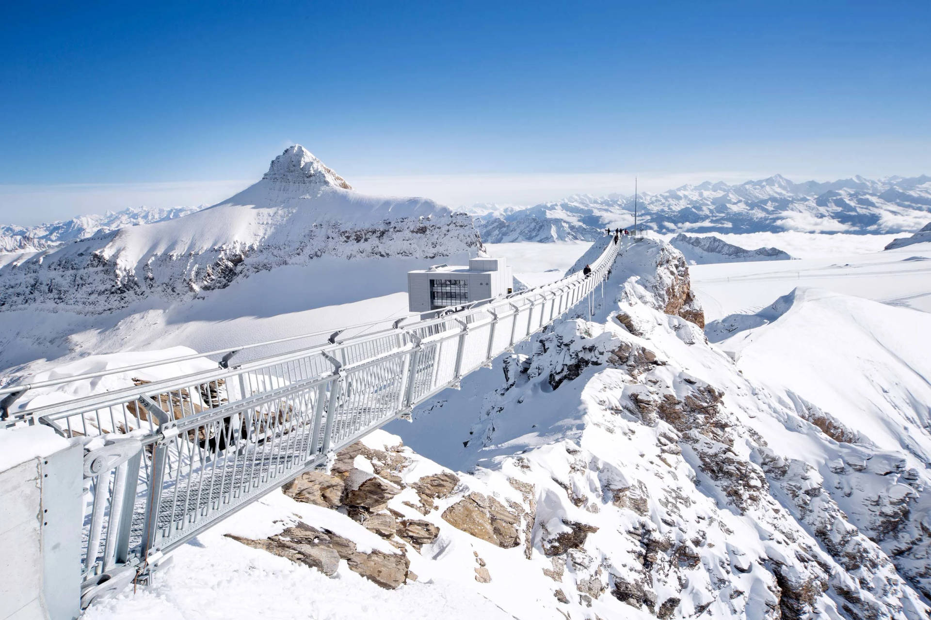 Puentecolgante De Los Alpes Suizos. Fondo de pantalla