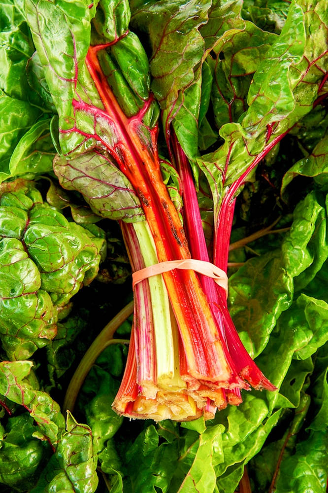 Vibrant Swiss Chard with Multicolored Stems Wallpaper