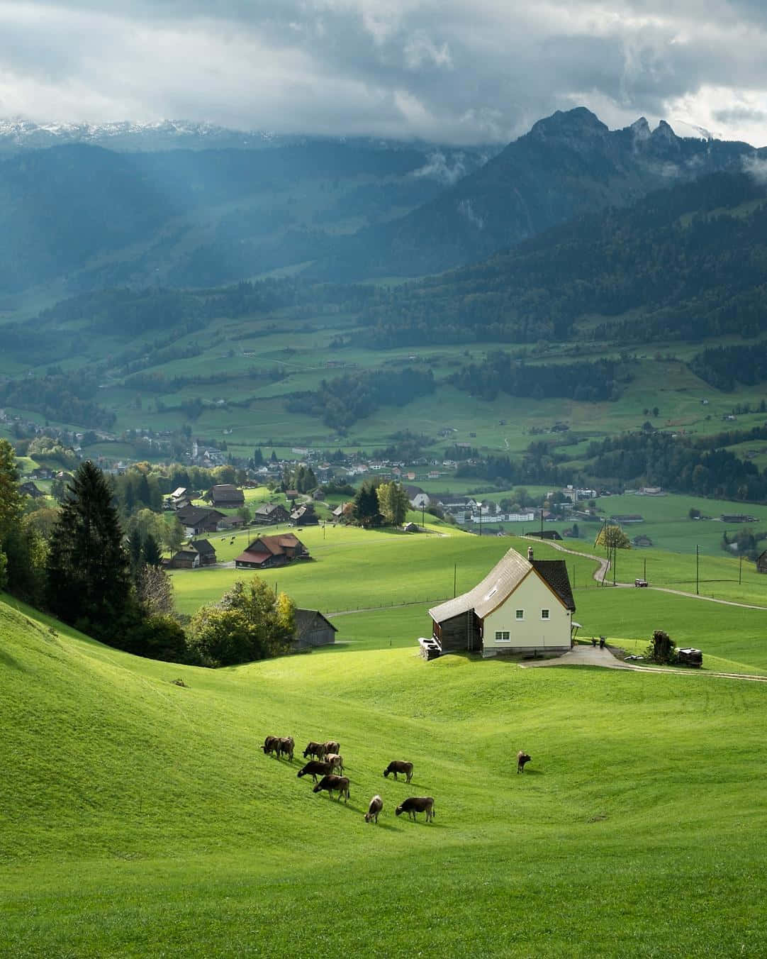 Swiss Countryside Idyll Wallpaper