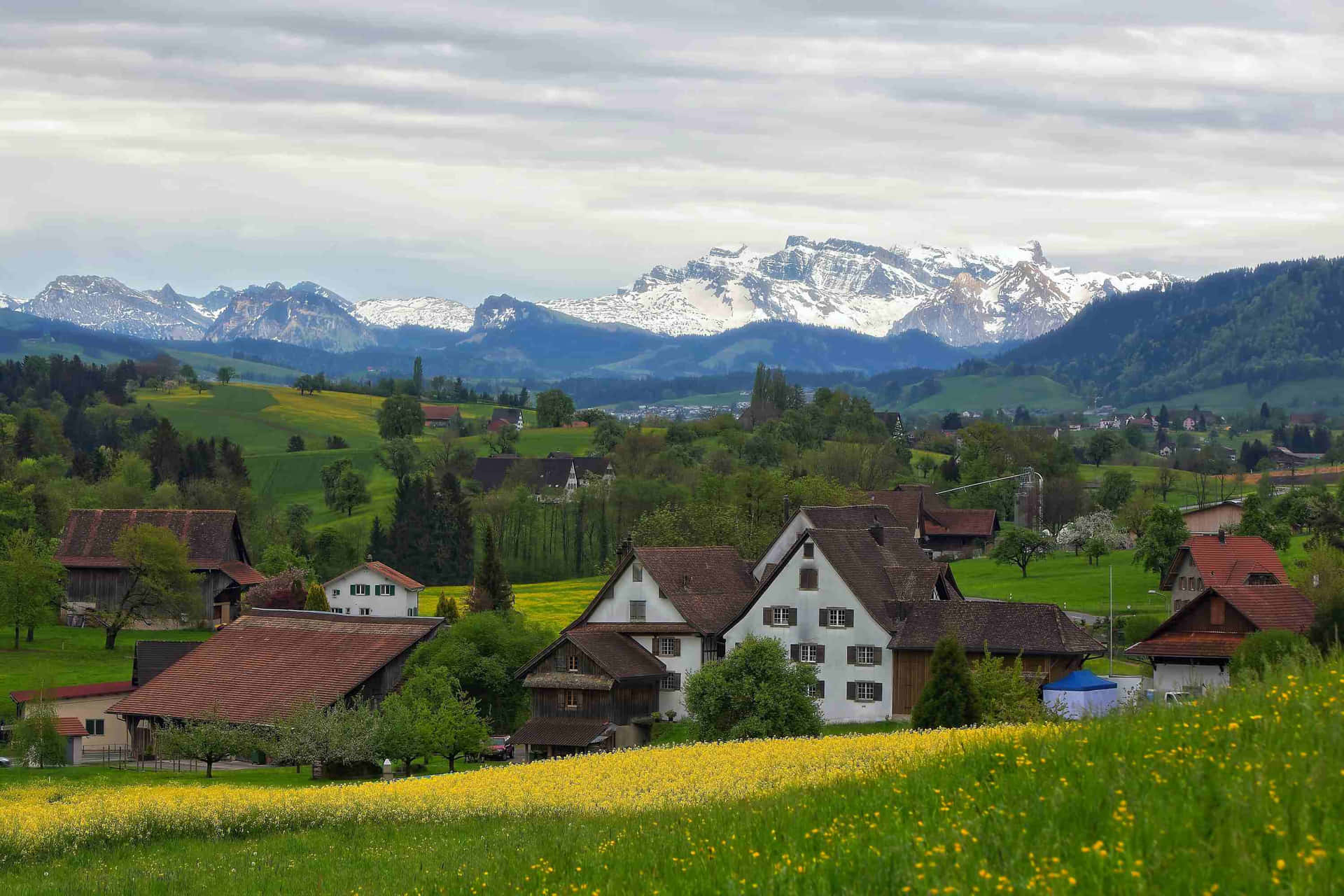 Swiss Countryside Springtime Wallpaper