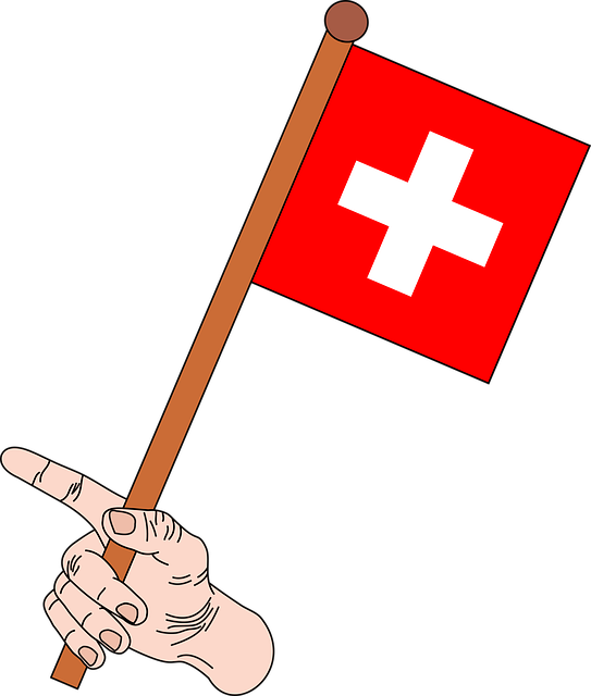 Swiss Flagin Hand Illustration PNG