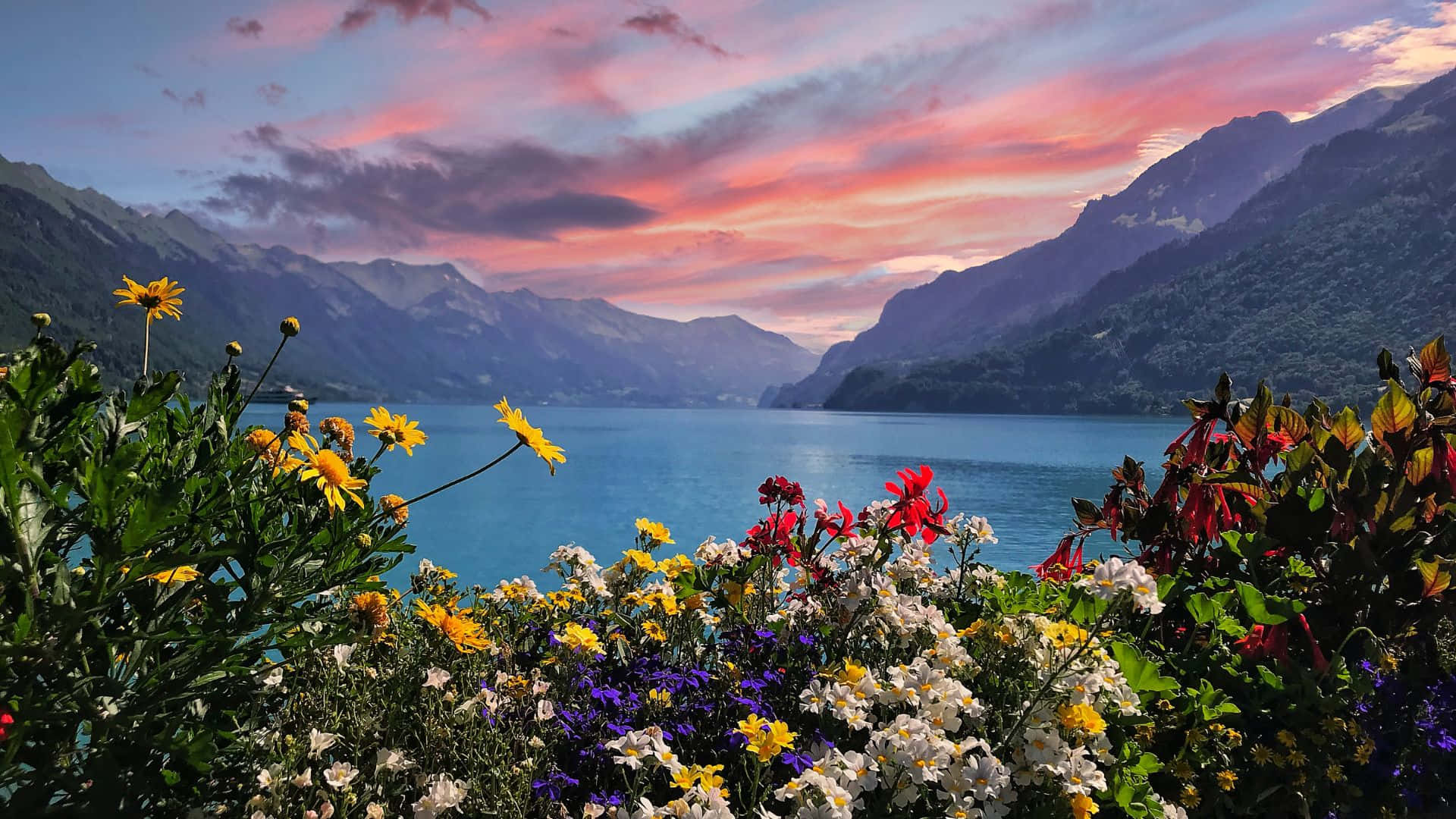 Download Stunning Swiss Landscape Panorama | Wallpapers.com