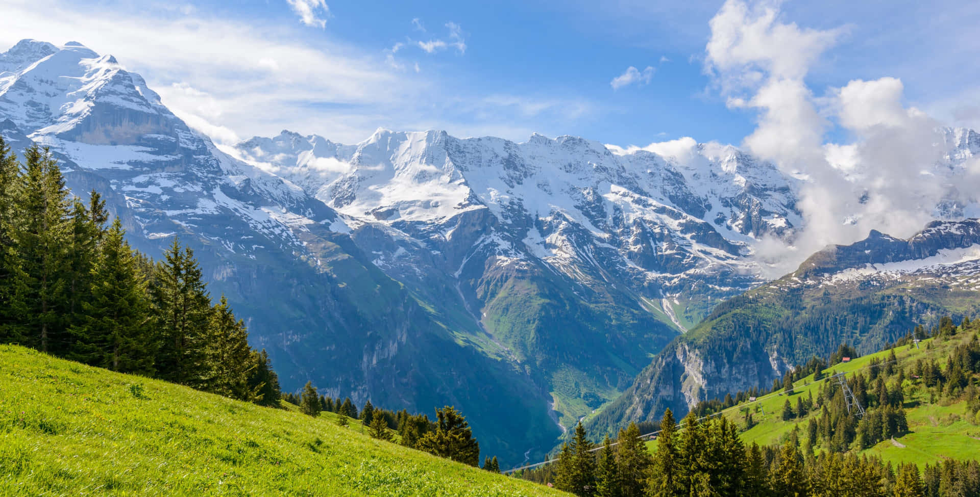 "Discover the excellence of the Swiss Alps"