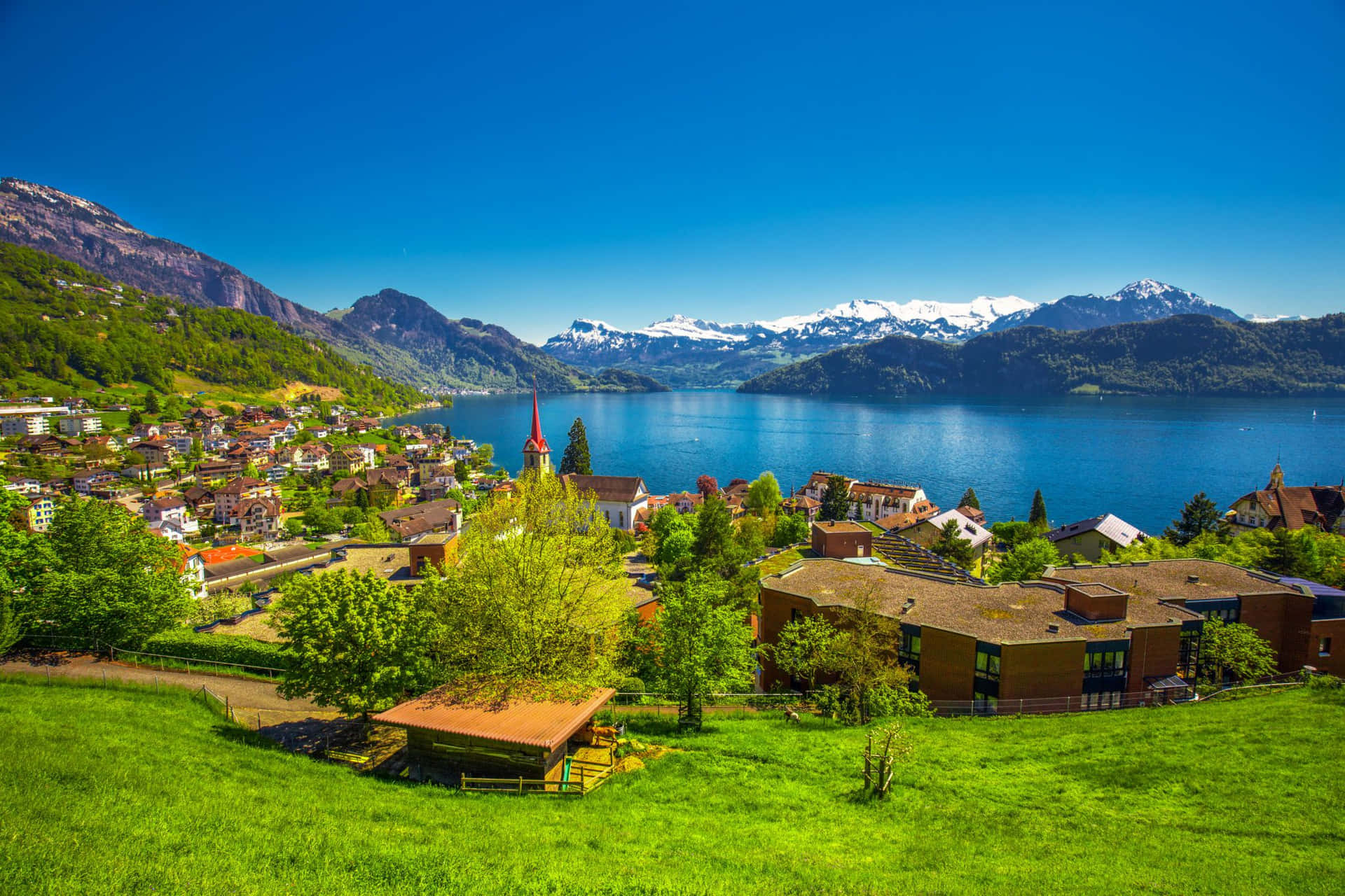 Enidyllisk Vy Av Den Schweiziska Staden Lucerne På Sommaren