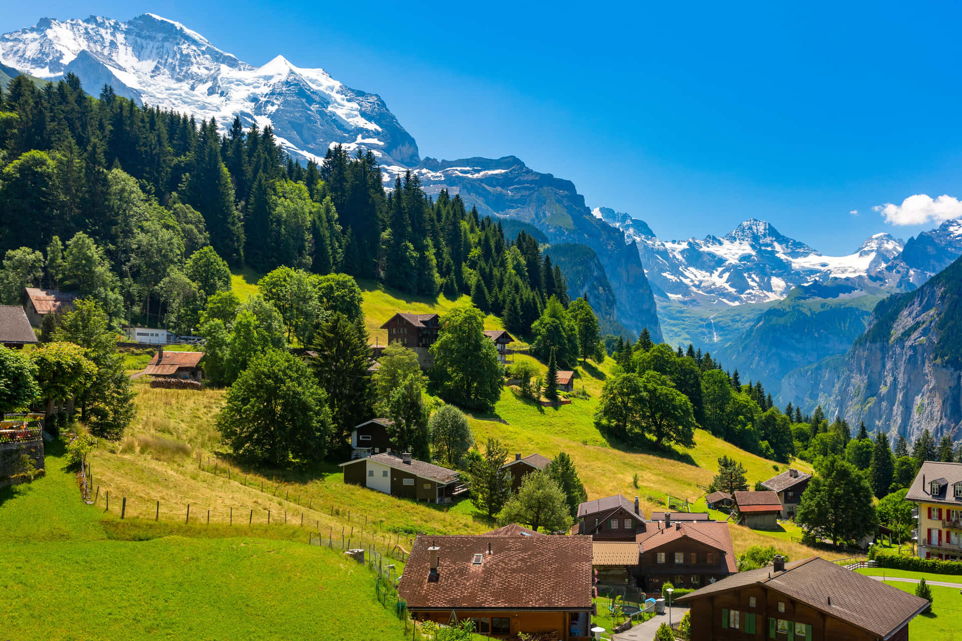 Njutav De Schweiziska Alperna