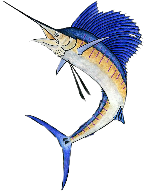 Swordfish Illustration Artwork PNG