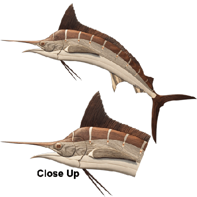 Swordfish Illustration PNG