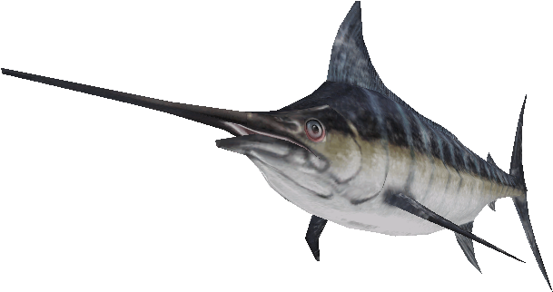Swordfish Side View PNG