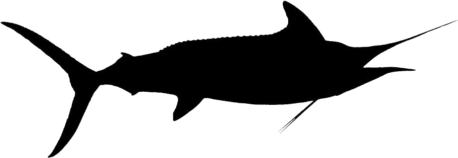 Swordfish Silhouette PNG