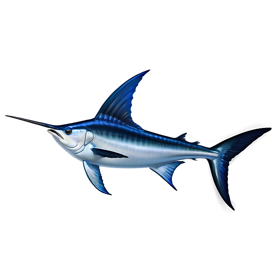 Swordfish Vs Marlin Png 63 PNG