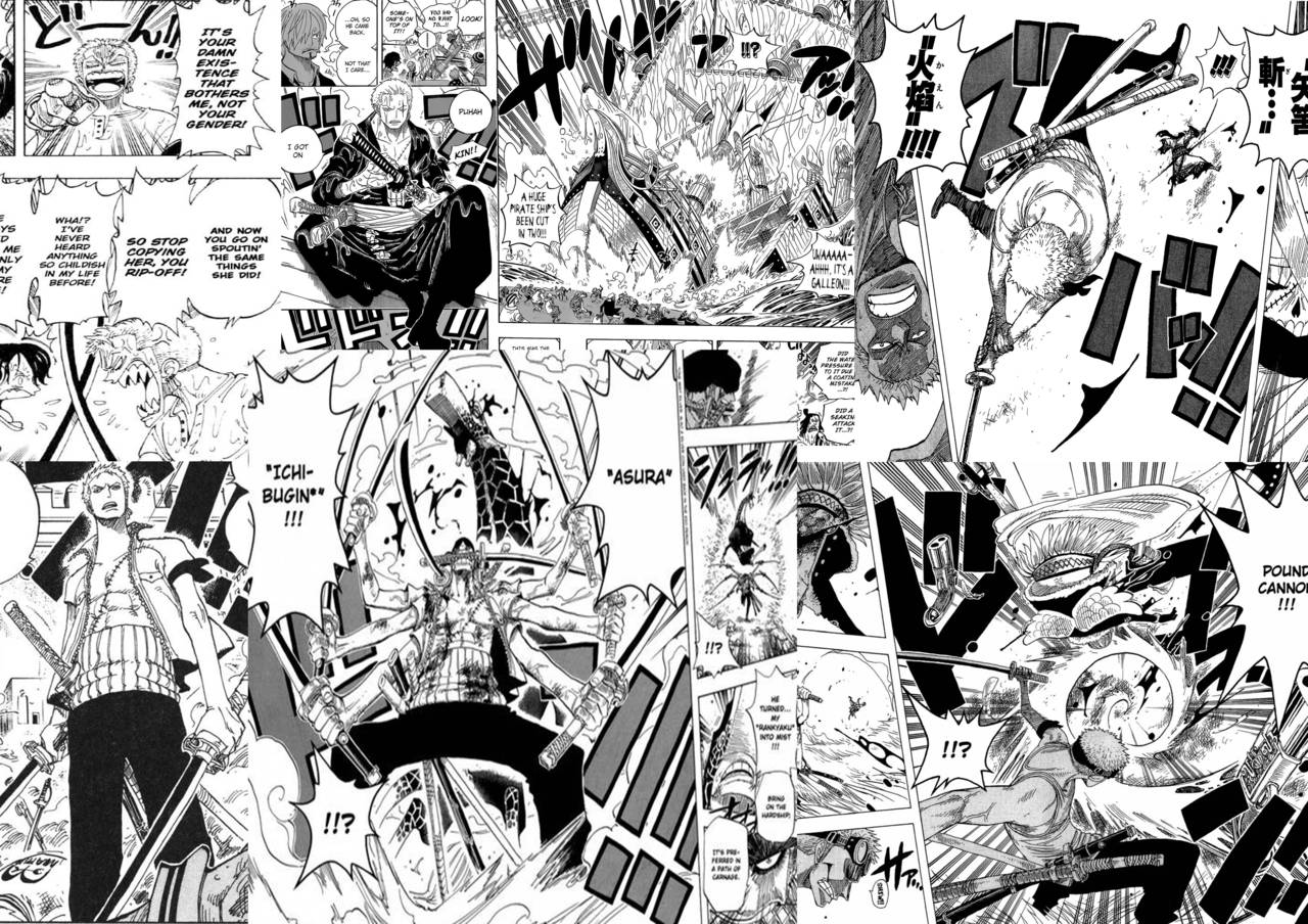 Swordsman Roronoa Zoro Manga Panel