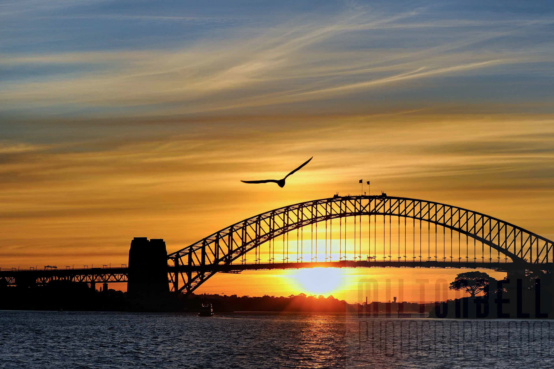 Sydney Harbour Bridge Sunset Silhouette Wallpaper