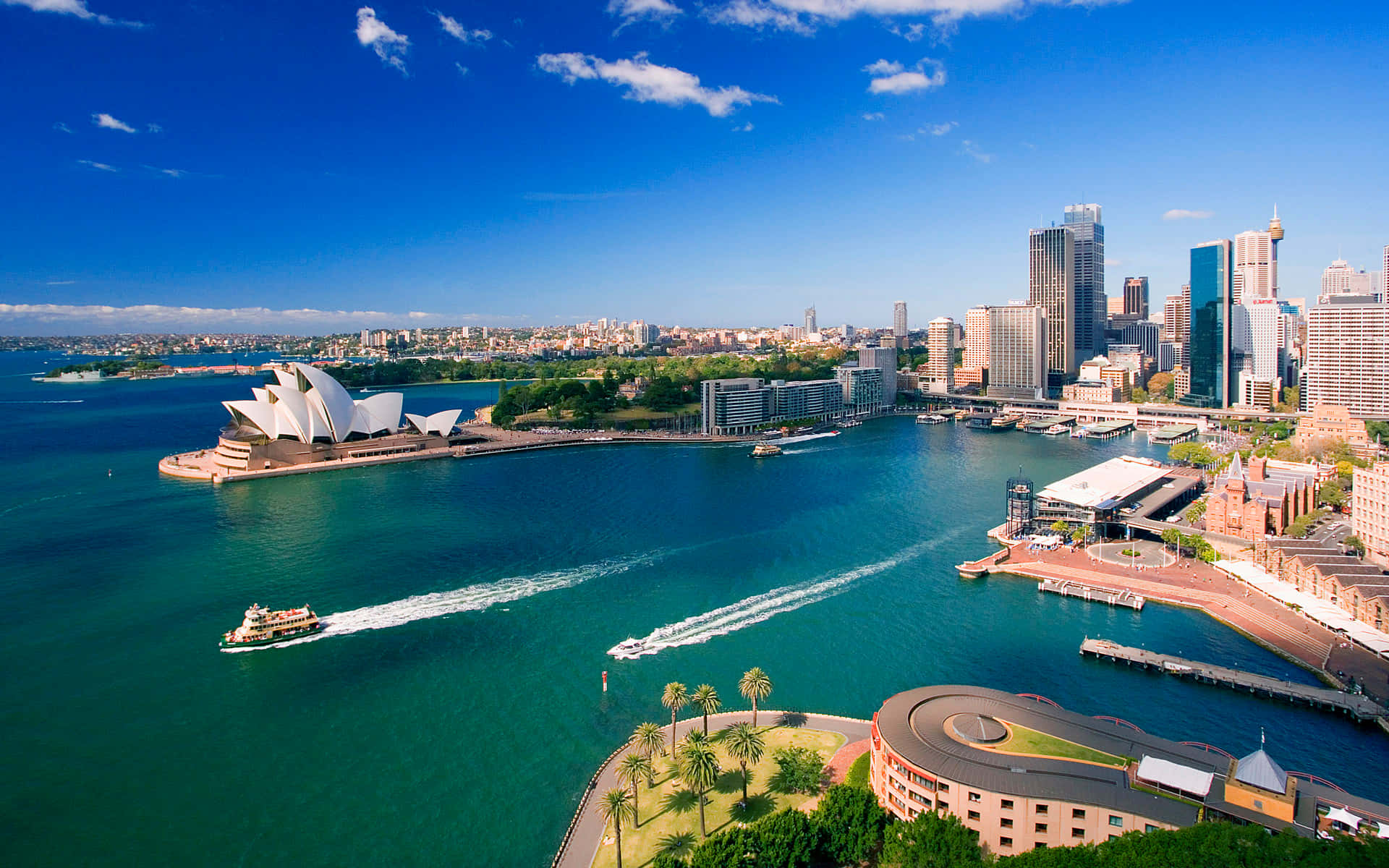 Sydney Harbour Cruise Experience Wallpaper