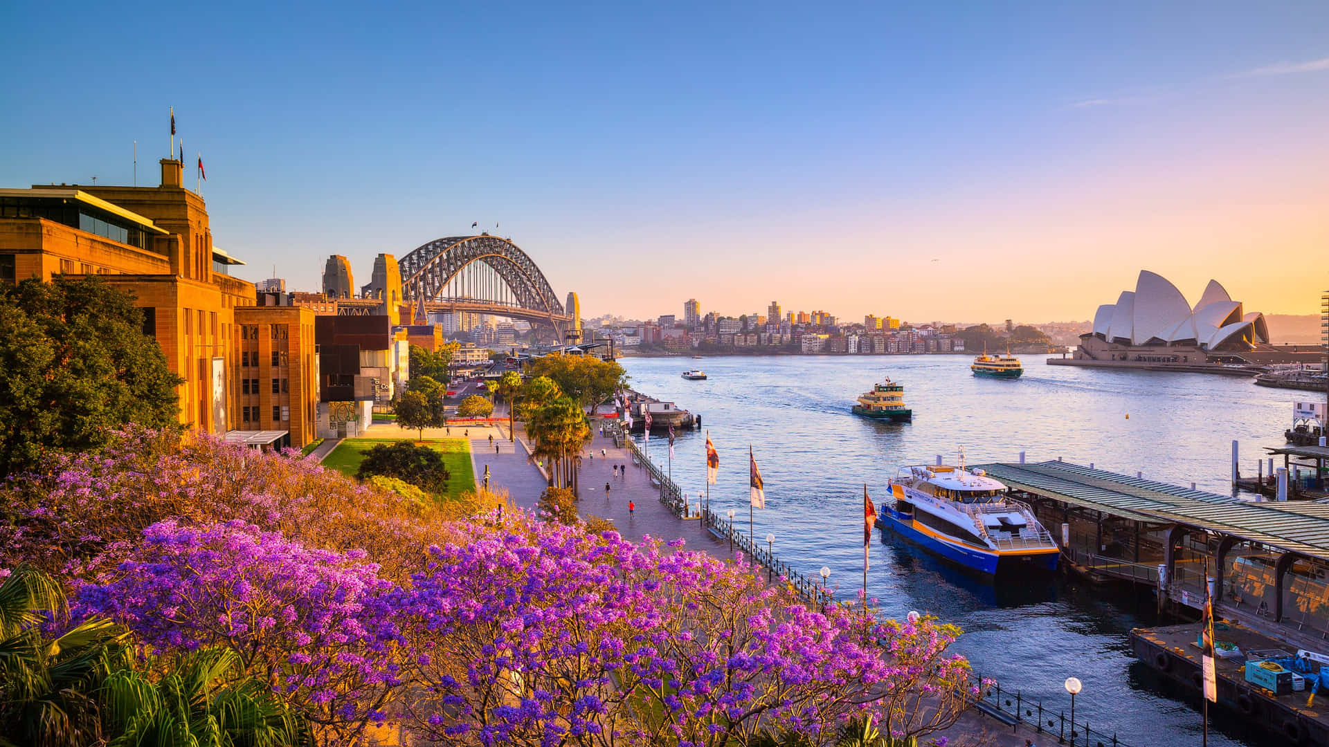 Sydney Harbour Sunset Cruise View Wallpaper