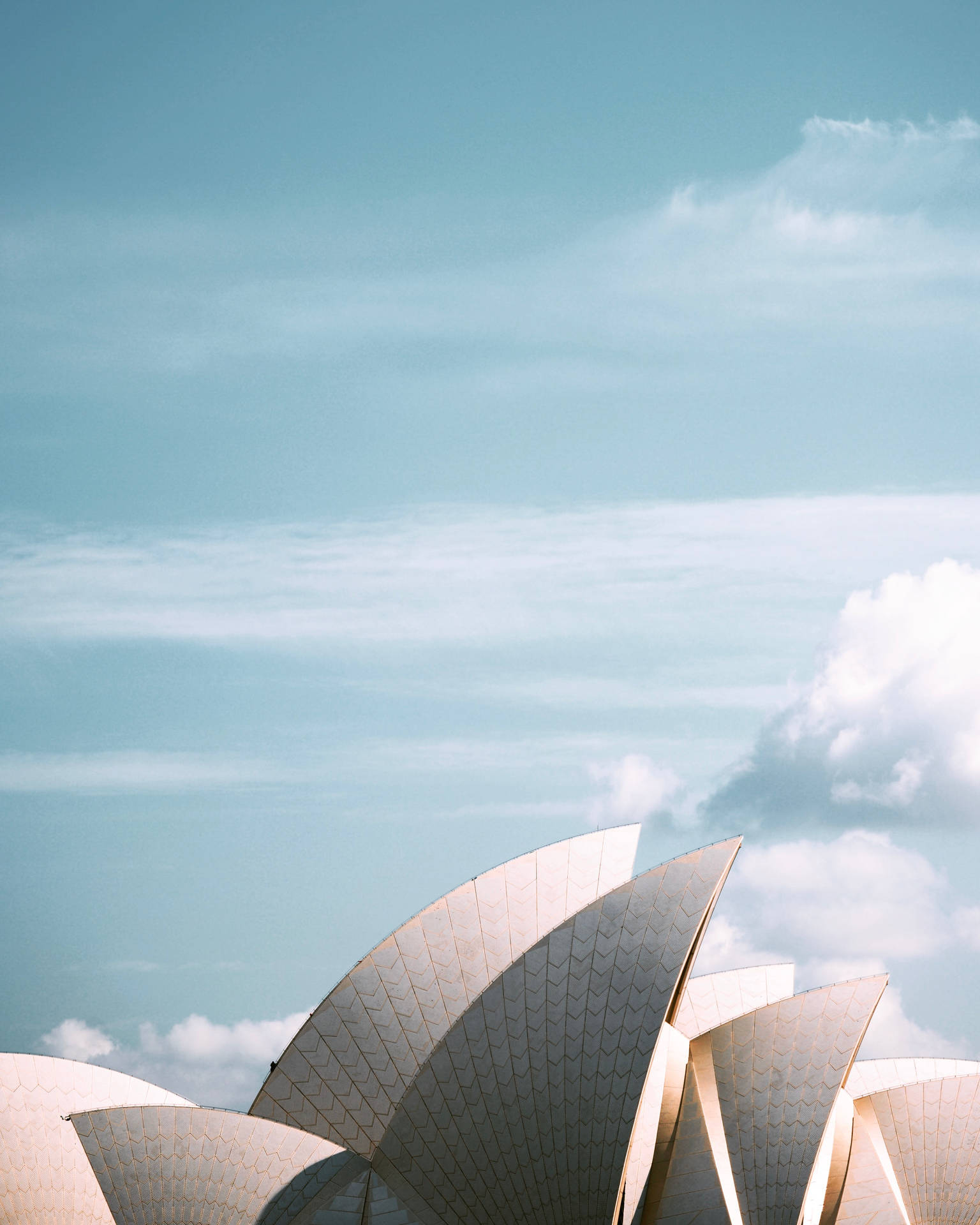Sydney Opera Roof Of Australia Wallpaper