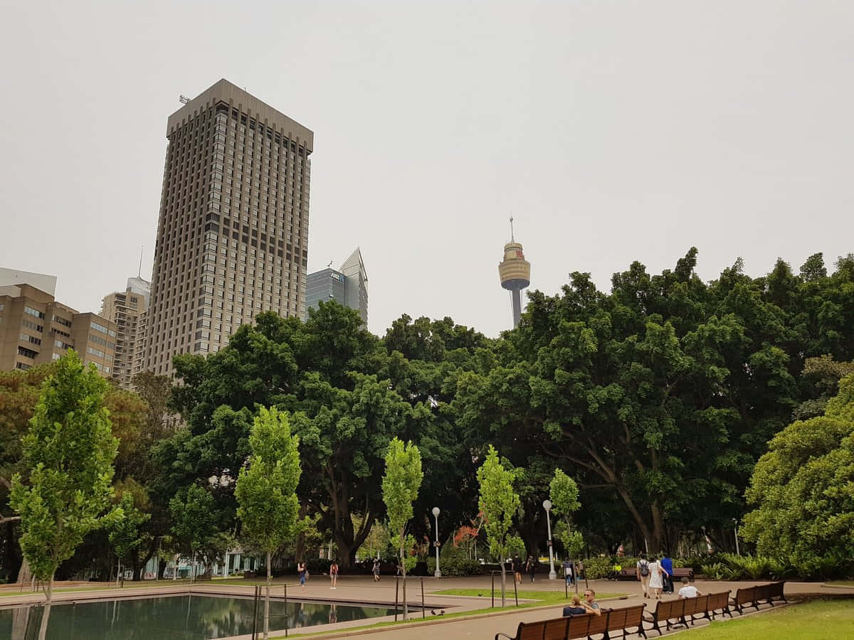 Sydney Park Viewwith Tower Eye Wallpaper