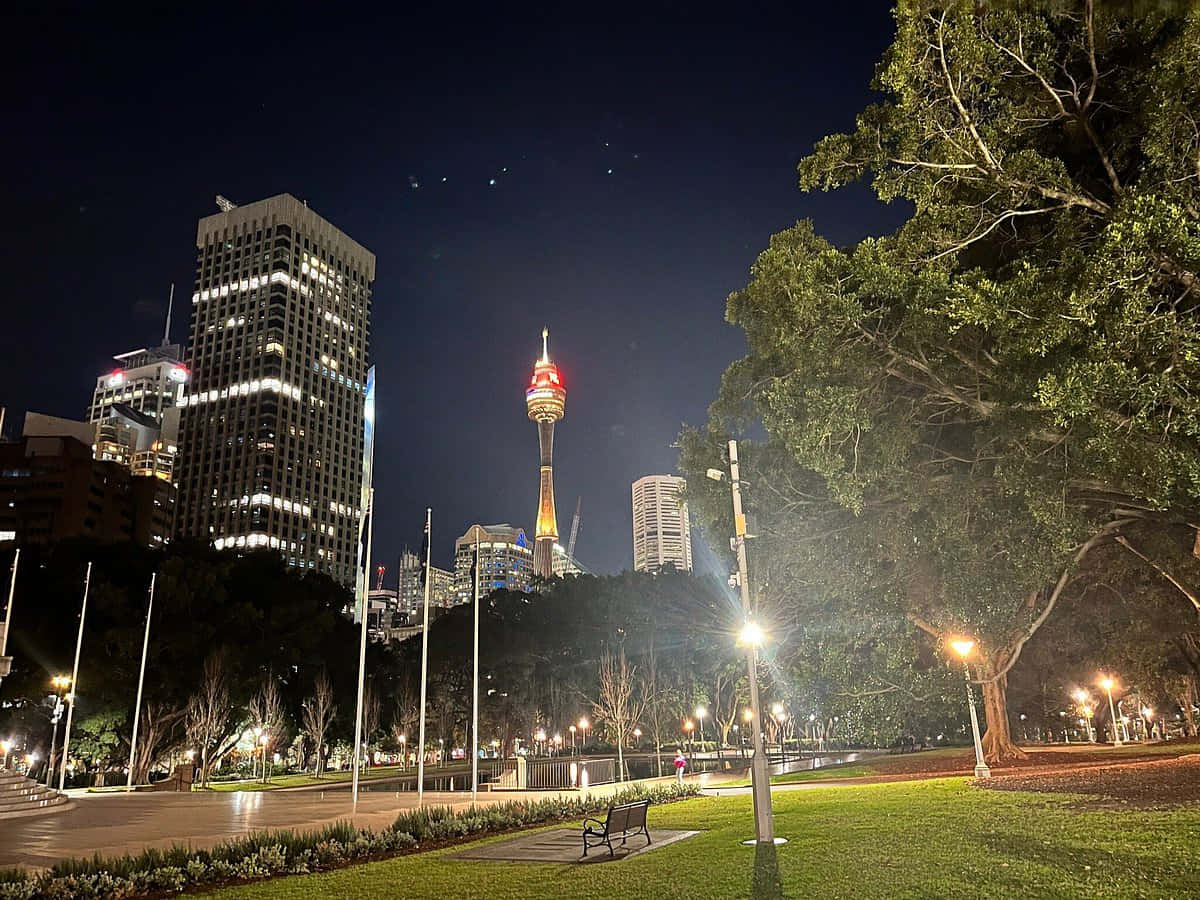 Sydney Skyline Night View Hyde Park Wallpaper