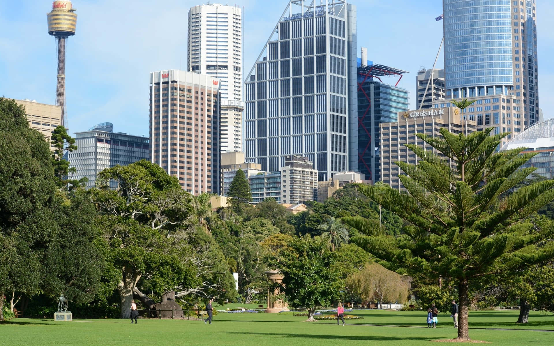 Sydney Skyline Viewfrom Royal Botanic Garden Wallpaper
