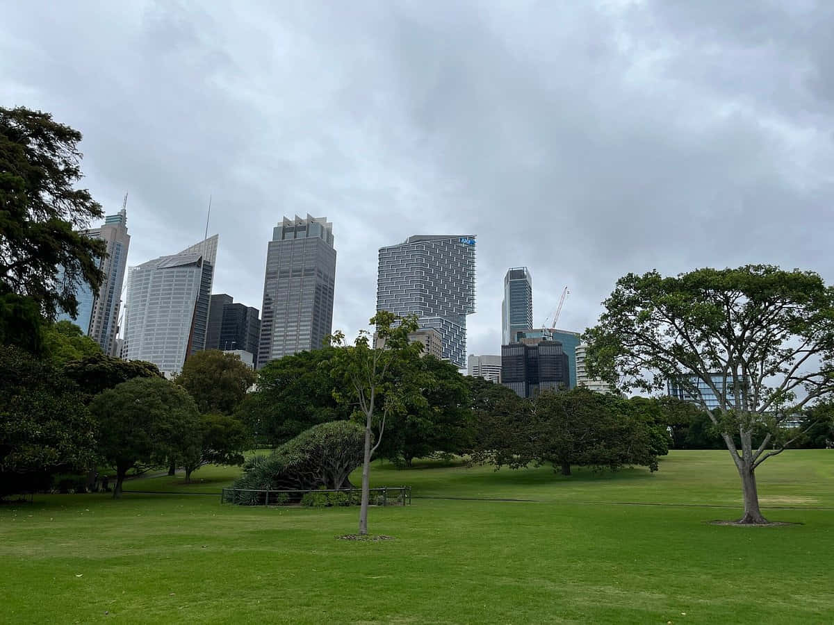 Sydney Skyline Viewfrom Royal Botanic Garden Wallpaper