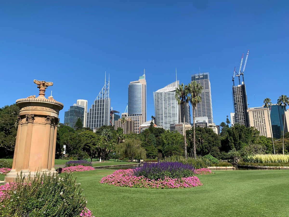 Sydney Skyline Viewfrom Royal Botanic Garden Wallpaper