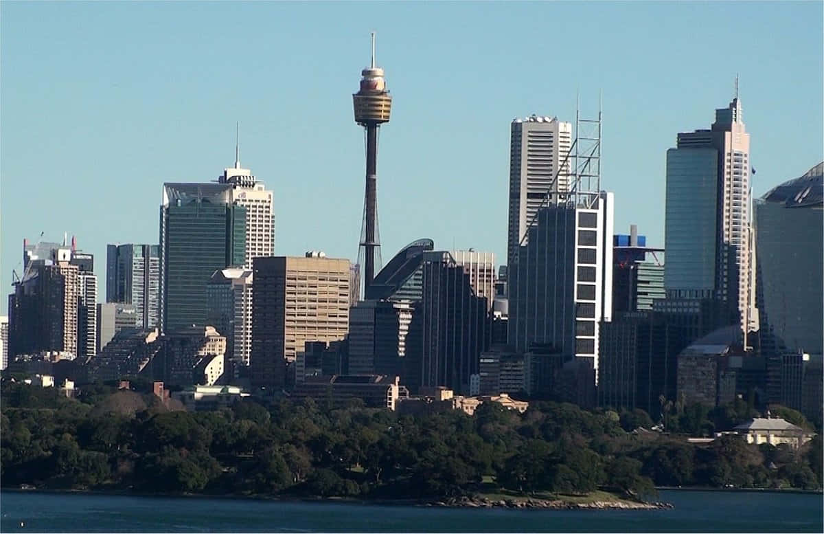 Sydney Skylinewith Tower Eye Wallpaper