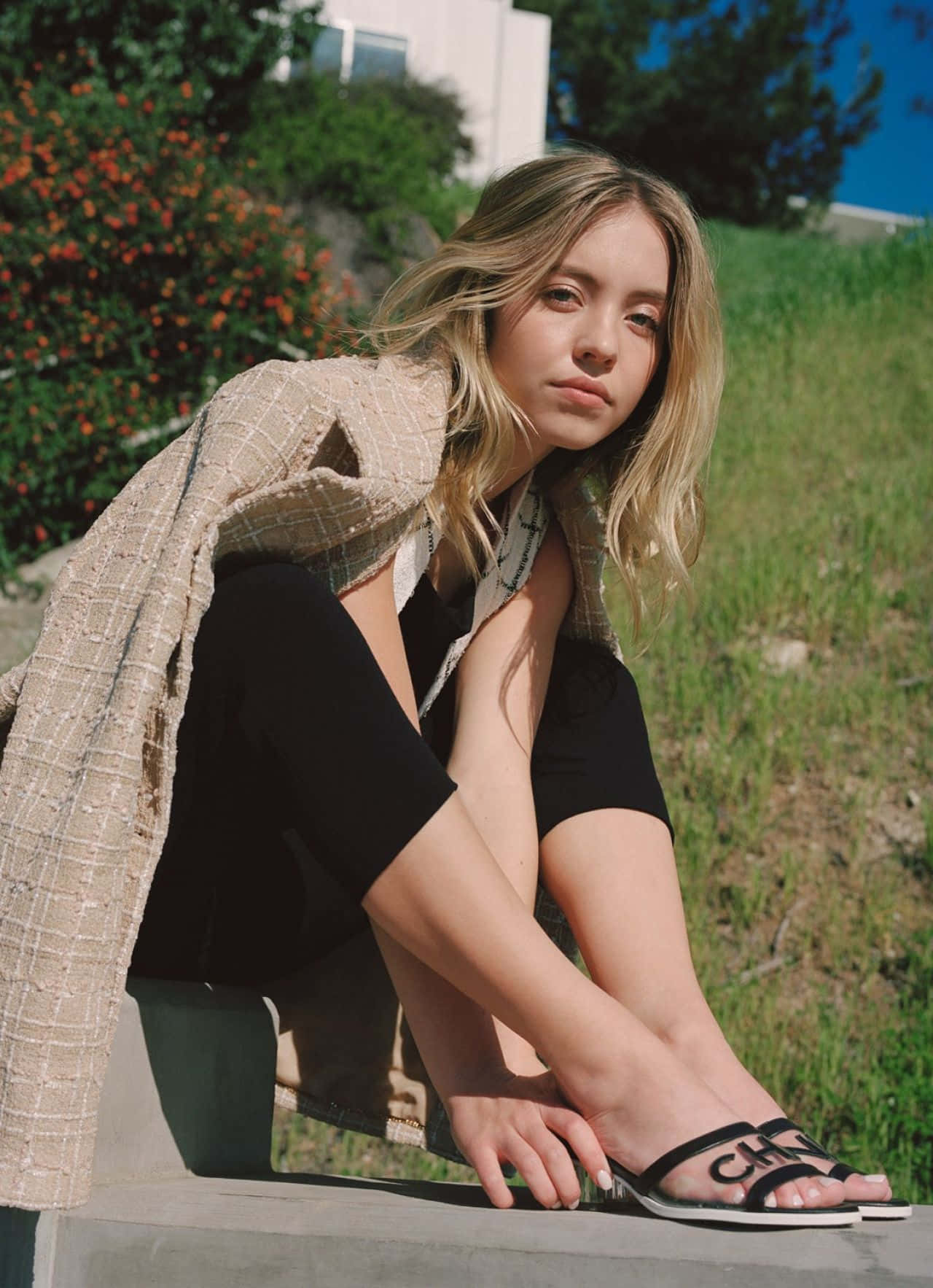 Sydney Sweeney Buitenportret Achtergrond