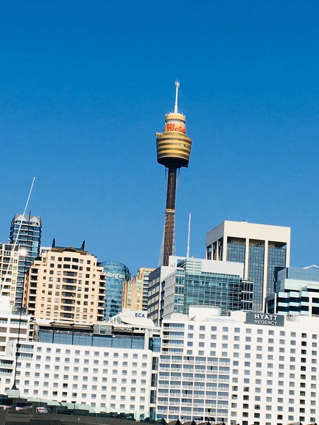 Sydney_ Tower_ Above_ Cityscape Wallpaper
