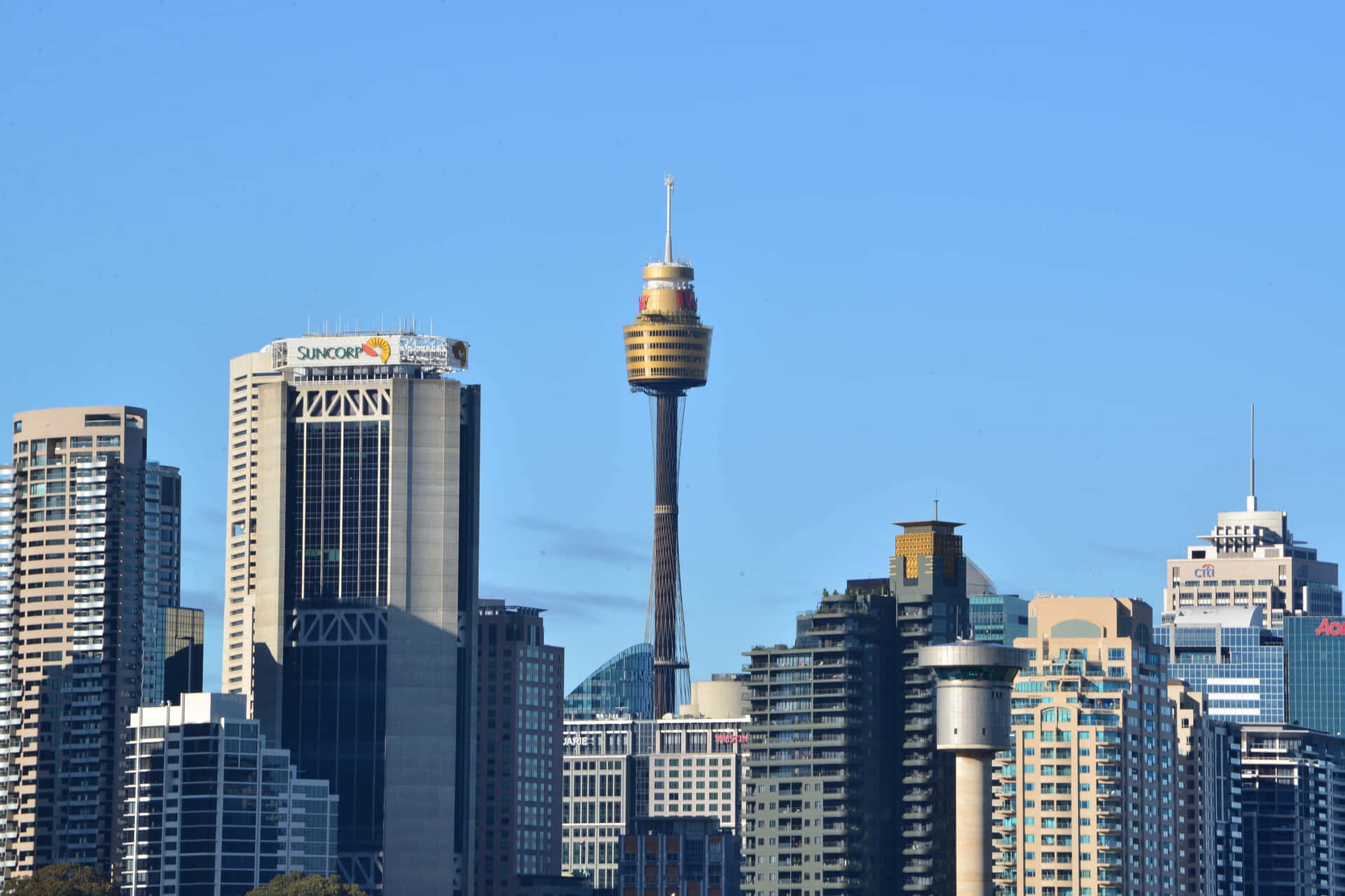 Sydney_ Tower_ Amidst_ Cityscape Wallpaper