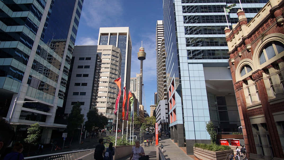 Sydney_ Tower_ Amidst_ Cityscape.jpg Wallpaper