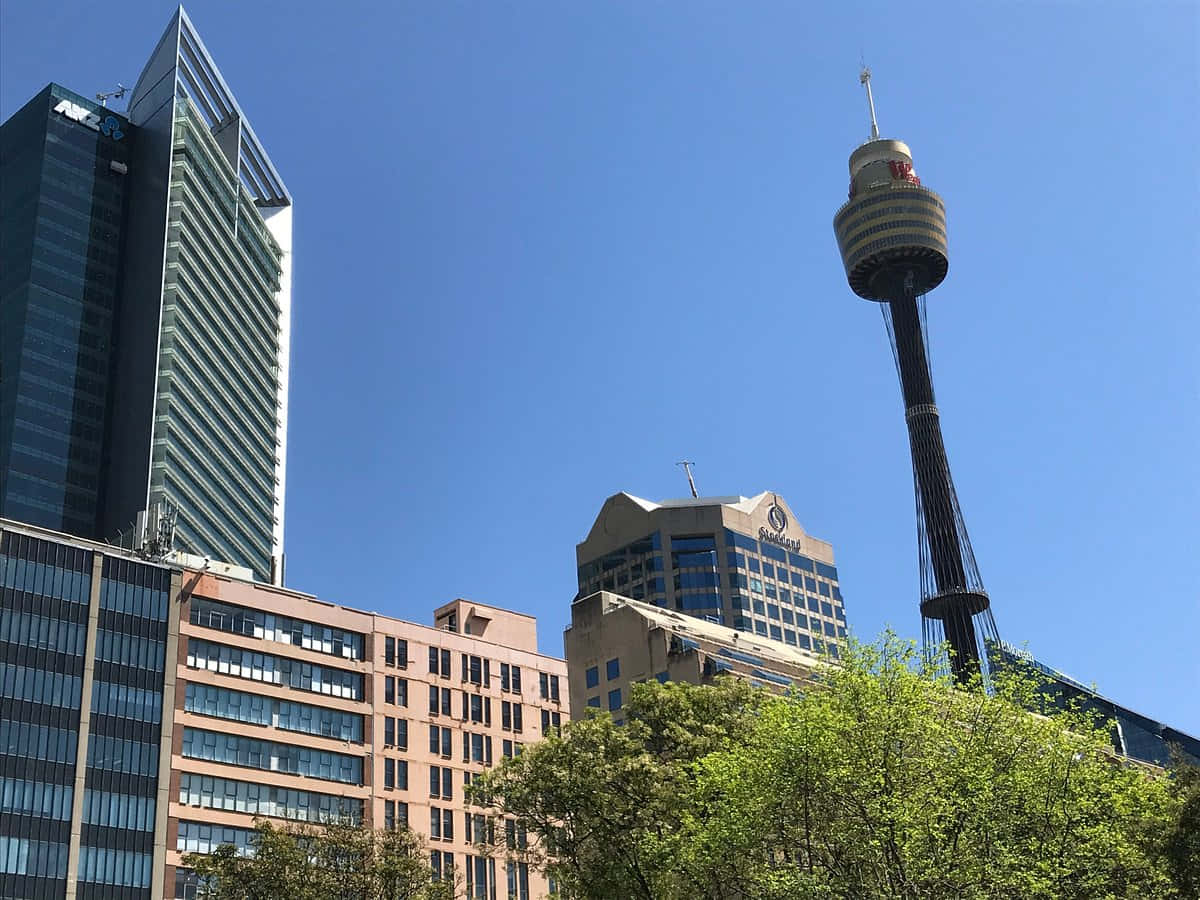 Sydney_ Tower_ Amidst_ Cityscape Wallpaper