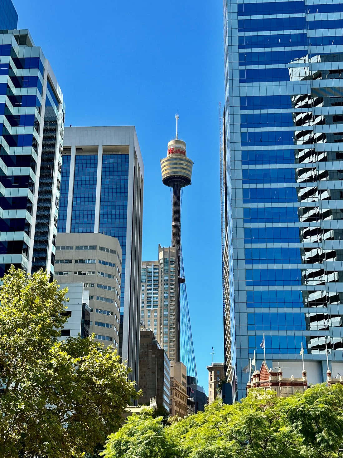 Sydney_ Tower_ Amidst_ Skyscrapers.jpg Wallpaper