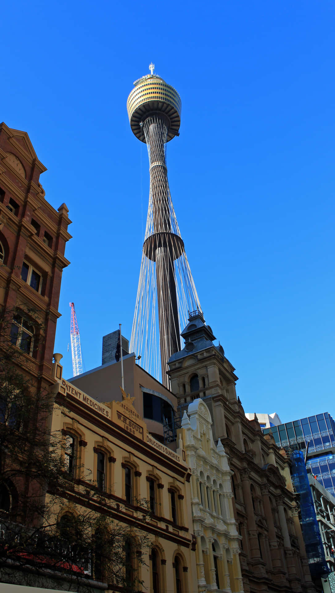 Sydney Tower Eye Against Blue Sky Wallpaper